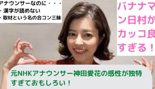 【ハライチとお昼の顔に！】バナナマン日村の妻神田愛花はNHKアナウンサーから今やTVでは欠かせない存在に！